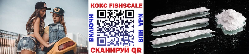 КОКАИН Fish Scale  где купить наркоту  Новокузнецк 