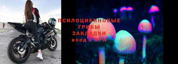 кокаин Горнозаводск
