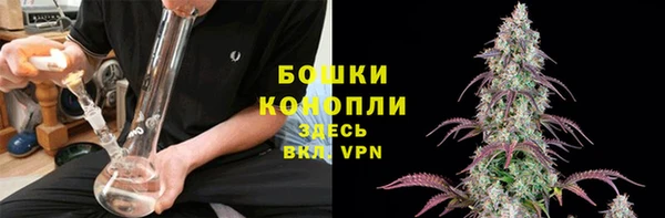 дмт Горняк