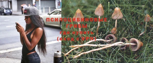 наркотики Горно-Алтайск