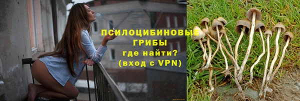 дмт Горняк