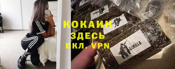 дмт Горняк