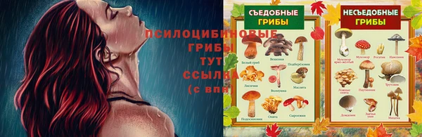 кокаин Горнозаводск
