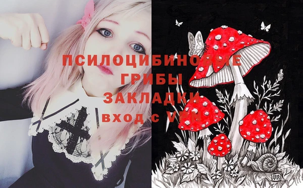 дмт Горняк